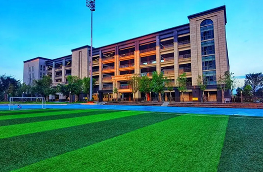 学校网站建设方案