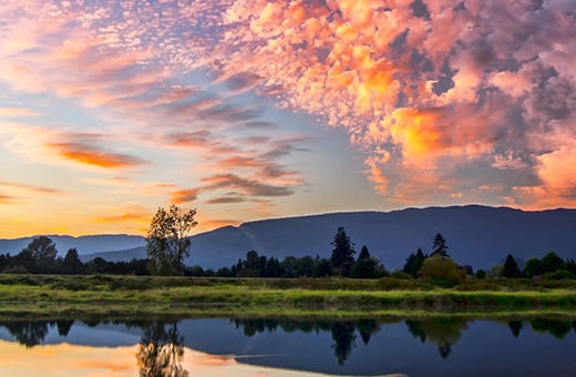 旅游网站解决方案